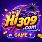 HI 309 Game